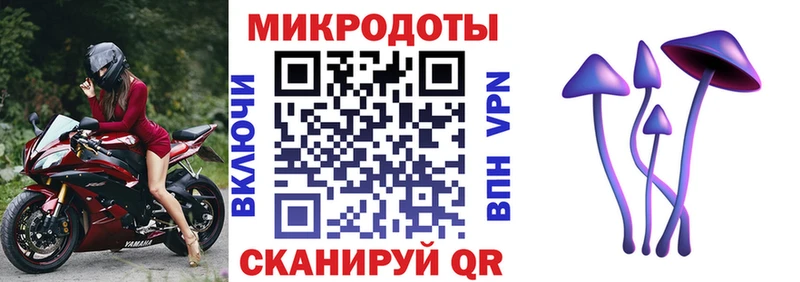 закладки  МЕГА как войти  Псилоцибиновые грибы MAGIC MUSHROOMS  Железногорск-Илимский 